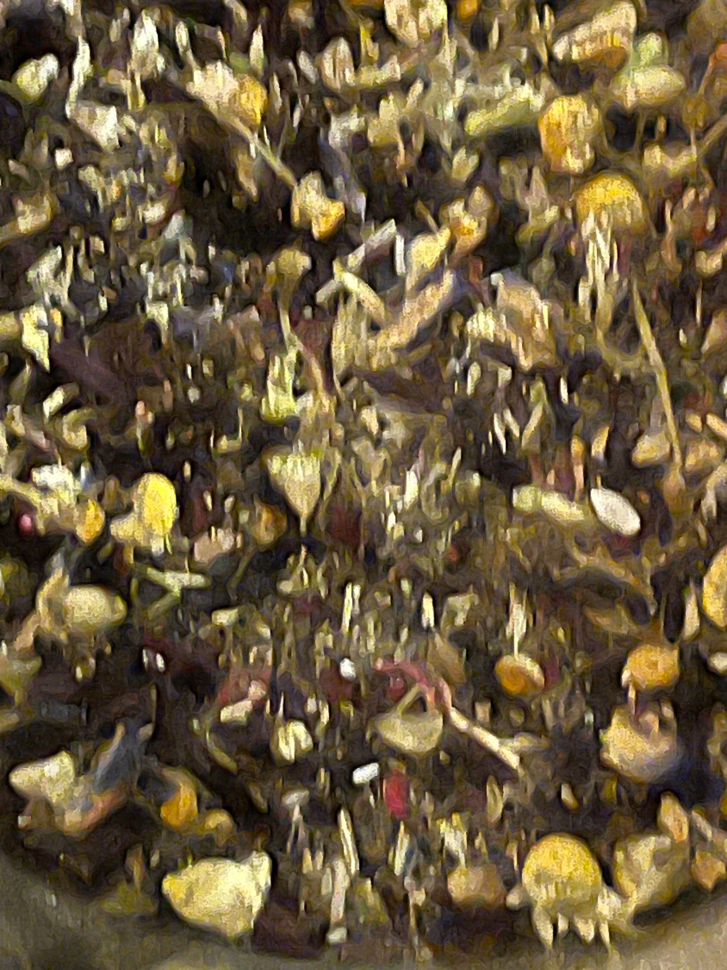 Happy Time Loose Leaf Tea