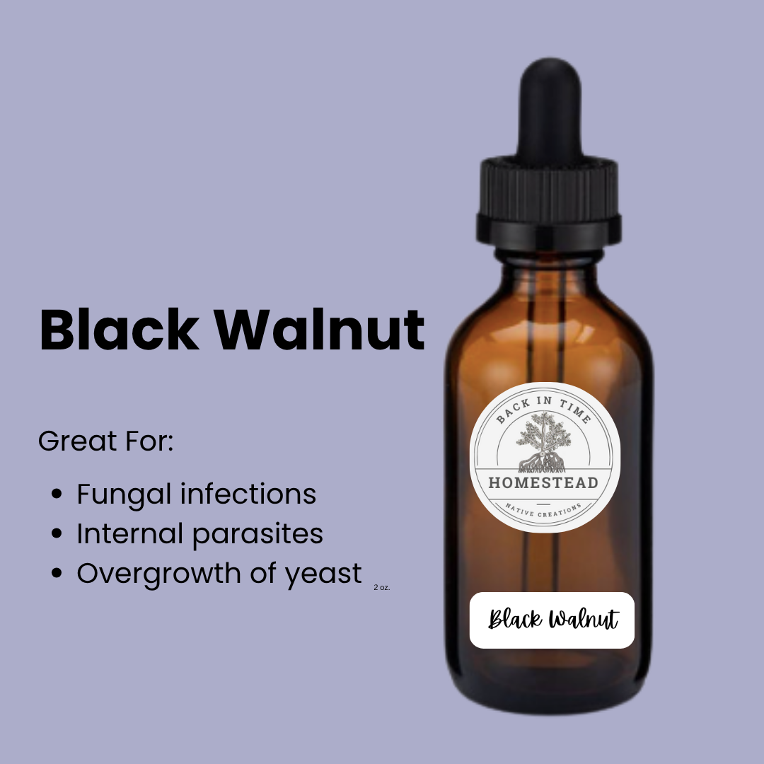 Black Walnut Glycerin Tincture